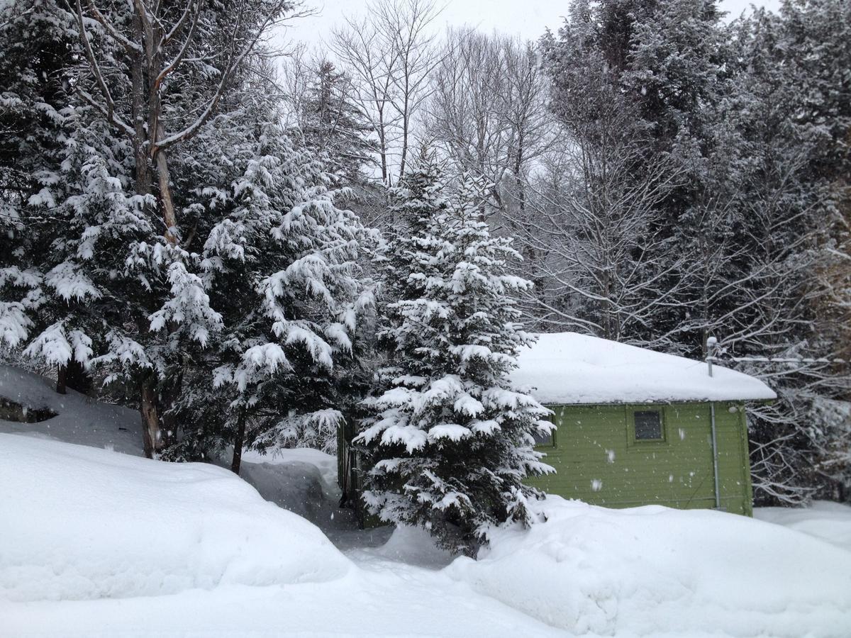 The Woods Lodge Northfield Bagian luar foto