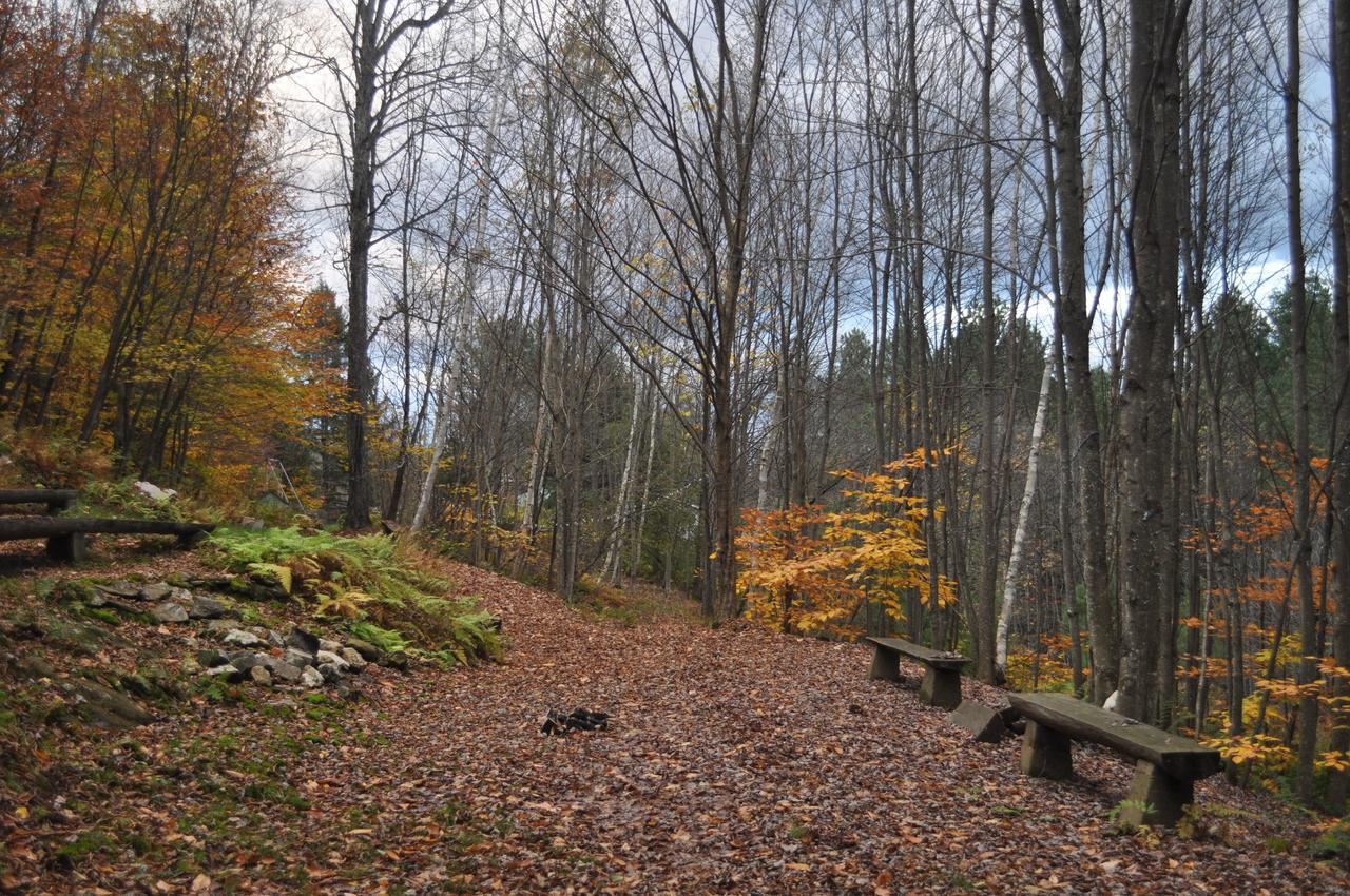 The Woods Lodge Northfield Bagian luar foto